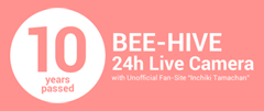 10 Years Passed BEE-HIVE 24h Live Camera with "Inchiki-Tamachan"